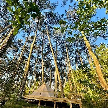 Luxury tent Tente Indiana Pins - La Teouleyre *