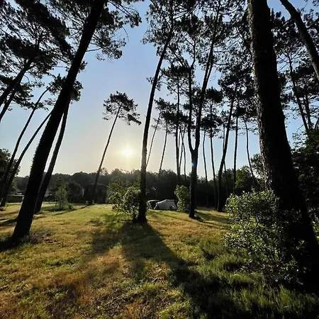 Tente Indiana Pins - La Teouleyre *